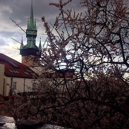 Althansky Palac Znojmo Extérieur photo