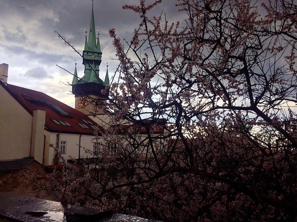 Althansky Palac Znojmo Extérieur photo